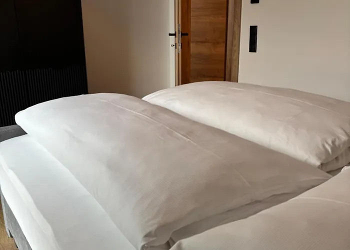 Gluecksvogel Schladming