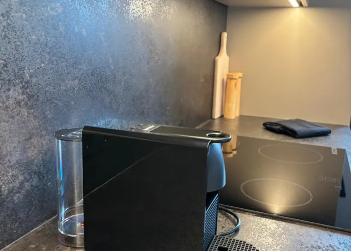 Gluecksvogel Daire Schladming